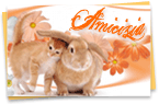 Amicizia