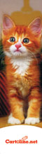 Segnalibro Gatto - Cod. 7