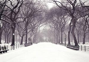 Strada innevata con alberi ai lati