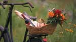 La Festa di Primavera