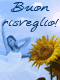 Cartoline Test personalita'