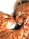 Cartoline con cuccioli