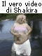 Cartoline Video Divertenti