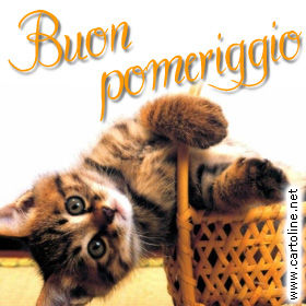 http://www.cartoline.it/pics/buon_pomeriggioa003.jpg