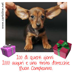 Auguri Di Buon Compleanno Con Animali Carla Vong Blog