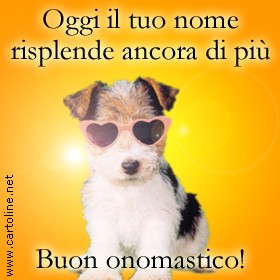 Cartoline di auguri compleanno onomastico vacanze portfolio