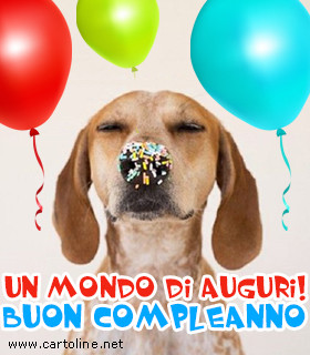 Auguri Di Compleanno Con Foto Di Cani