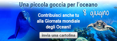Una piccola goccia per l'oceano - 8 giugno - Contribuisci anche tu alla Giornata mondiale degli Oceani! invia una cartolina