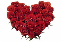 Rose rosse per San Valentino