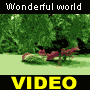 Video Wonderful world