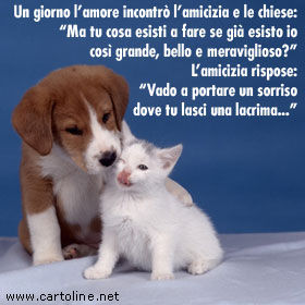 https://www.cartoline.it/pics/amiciziaa023.jpg