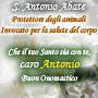 S. Antonio Abate - 17 gennaio