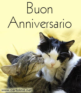 Foto Buon Anniversario - BUON ANNIVERSARIO DI MATRIMONIO - Cancello ed Arnone News : Tour del lago di garda in barca?