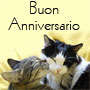 Bacio tra gatti per l'anniversario