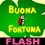 Il quadrifoglio della fortuna