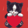 Gattino con cuore