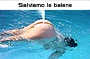 Salviamo le balene