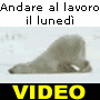 Video divertente: Andare al lavoro il luned