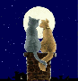 Romantica coppia di gatti