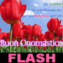 Buon Onomastico fra i tulipani