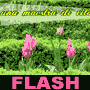 Insegnante e Maestra di Vita