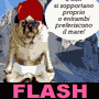 Maometto e la Montagna