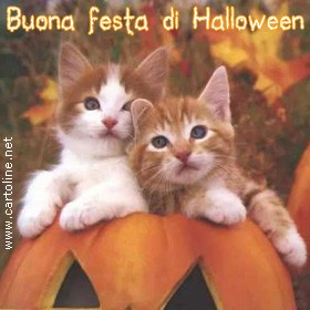 Felici Festeggiamenti Ad Halloween