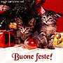 Buone Feste dai teneri gattini