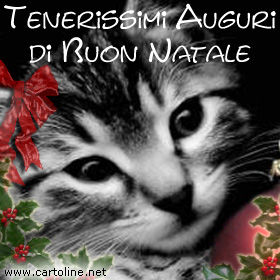 Gatto Buon Natale.Auguri Di Natale Da Gattino