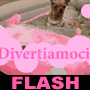 Divertiamoci alla Notte Rosa!