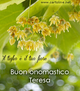 Fiore Associato Al Nome Teresa