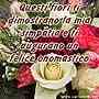 Omaggio floreale per l'onomastico