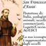 San Francesco d'Assisi protettore
