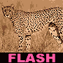 Gioco di abilit sugli animali