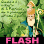 Il trifoglio di San Patrizio