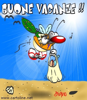 Volo in spiaggia