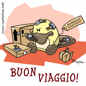 Buon Viaggio