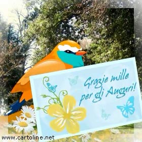 Grazie Mille Per Gli Auguri