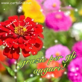 Fiori Per Ringraziare