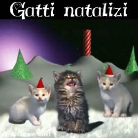 Gatto Buon Natale.Teneri Gatti Augurano Buon Natale Cantando Silent Night