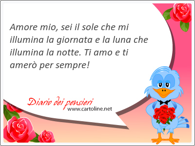 Amore mio, sei il sole che mi illumina la giornata e la luna che illumina la notte. Ti amo e ti amer per sempre!