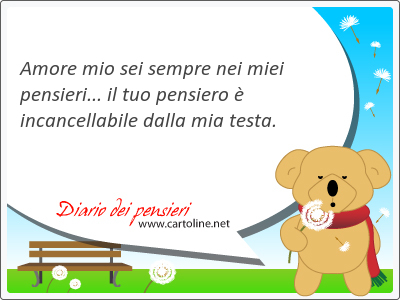 Amore mio sei sempre nei miei <strong>pensieri</strong>... il tuo pensiero  incancellabile dalla mia testa.