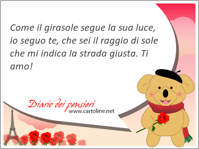 Come il girasole segue la sua luce, io seguo te, che sei il raggio di sole che mi indica la strada giusta. Ti amo!