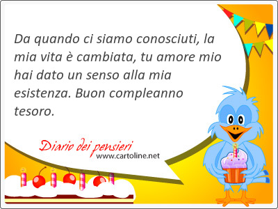 Da quando ci siamo conosciuti, la mia vita  cambiata, tu amore mio hai dato un senso alla mia esistenza. Buon compleanno tesoro.