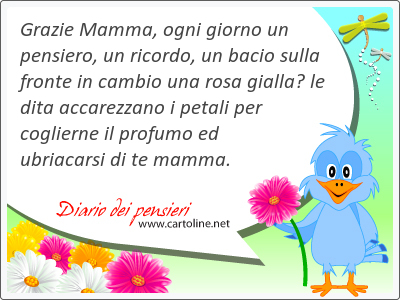 Grazie Mamma, ogni giorno un pensiero, un ricordo, un bacio sulla fronte in cambio una rosa gialla le dita accarezzano i petali per coglierne il profumo ed ubriacarsi di te mamma.