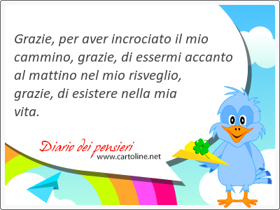 Grazie, per aver incrociato il mio cammino, grazie, di essermi accanto al mattino nel mio risveglio, grazie, di esistere nella mia vita.