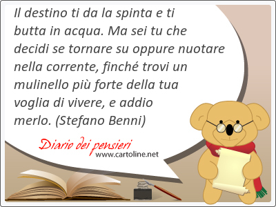 Il destino ti da la spinta e ti butta in acqua. Ma sei tu che decidi se tornare su oppure nuotare nella corrente, finch trovi un mulinello pi forte della tua voglia di vivere, e addio merlo.