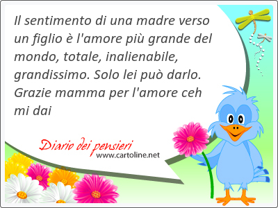 Il sentimento di una madre verso un figlio  l'amore pi grande del mondo, totale, inalienabile, grandissimo. Solo lei pu darlo. Grazie mamma per l'amore ceh mi dai