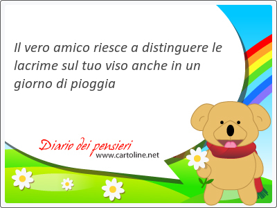 Il vero amico riesce a distinguere le <strong>lacrime</strong> sul tuo viso anche in un giorno di pioggia