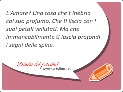 L'Amore? Una rosa che t'inebria col suo <strong>profumo</strong>. Che ti liscia con i suoi petali vellutati. Ma che immancabilmente ti lascia profondi i segni delle spine.